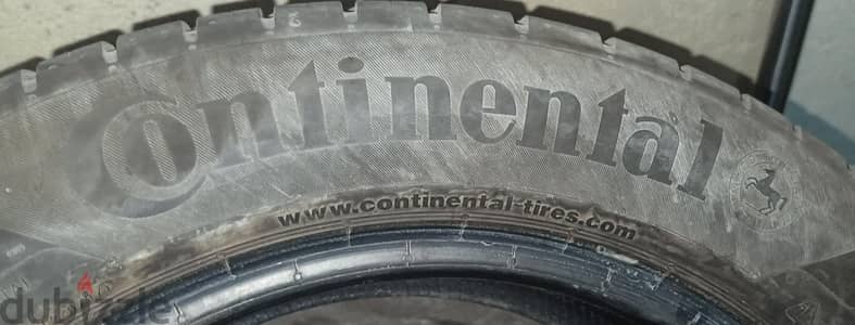 القباري الاسكندريه