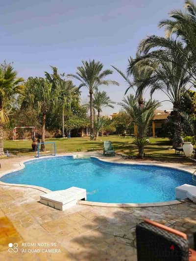 Villa for daily and short-term rent in Al Reef European Compound
