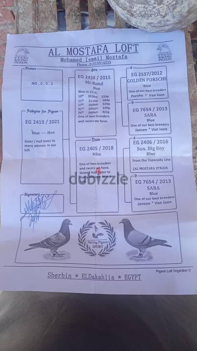 دنجواي مركز شربين