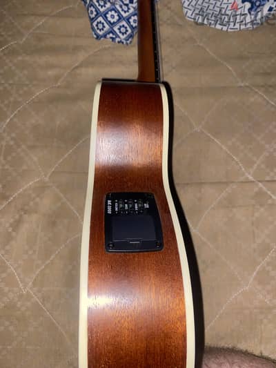 chard ukelele