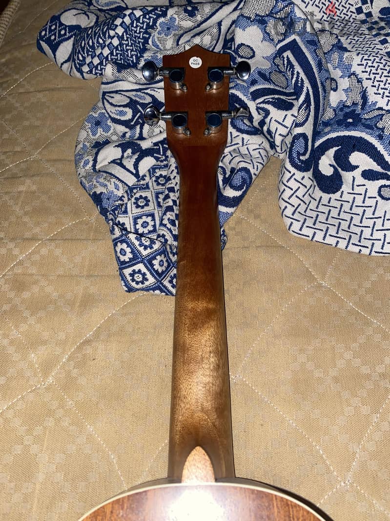 chard ukelele 1
