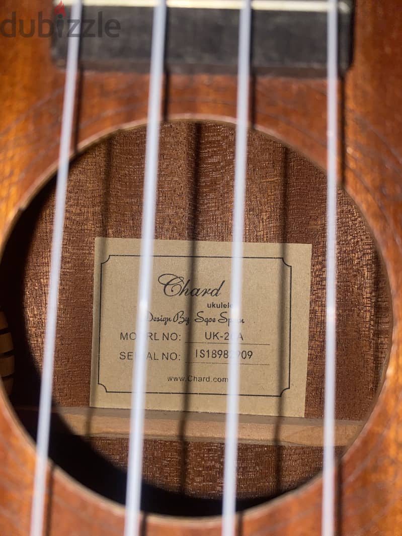 chard ukelele 3