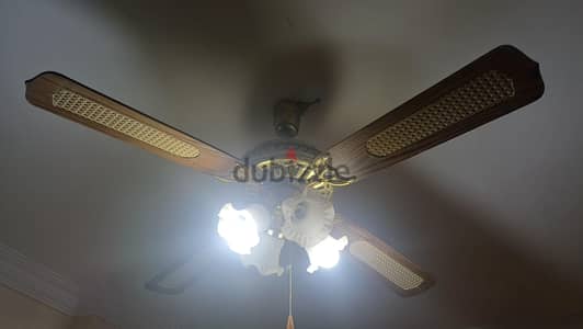 حدايق الاهرام