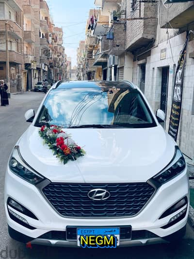 الايجار عربيه توسان