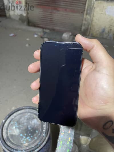 الاسكندريه العجمي بيطاش