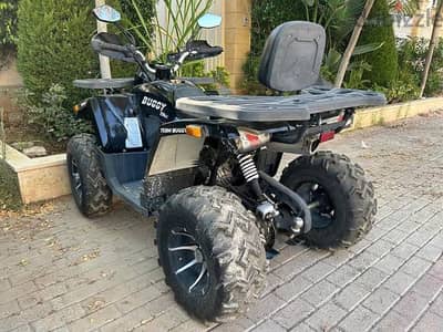 Term brand beach buggy 250 cc