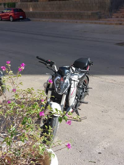 benelli s200