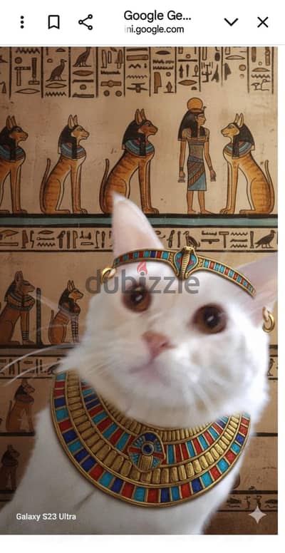 اكتوبر