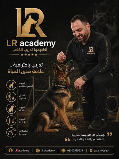 Home sessions dog training