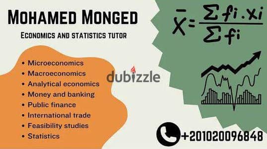 economics and statistics instructor