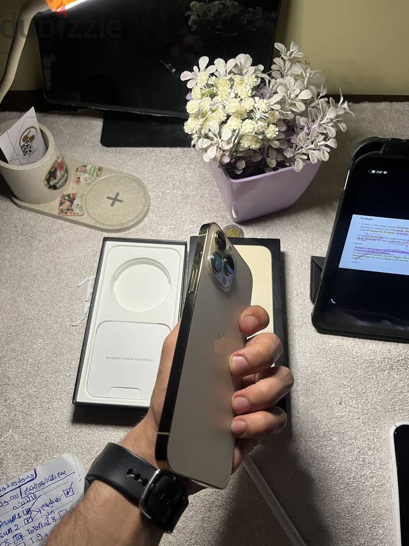 iPhone 13 Pro Max 256 1