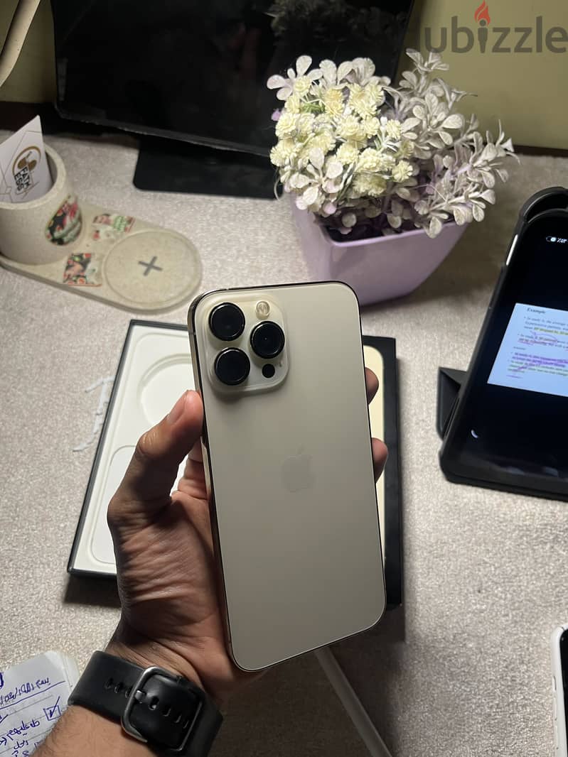 iPhone 13 Pro Max 256 2