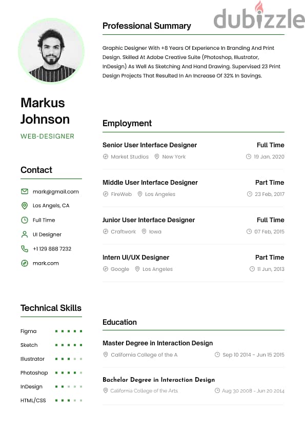 Professional Cv 2