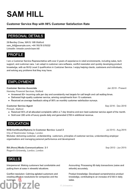 Professional Cv 3