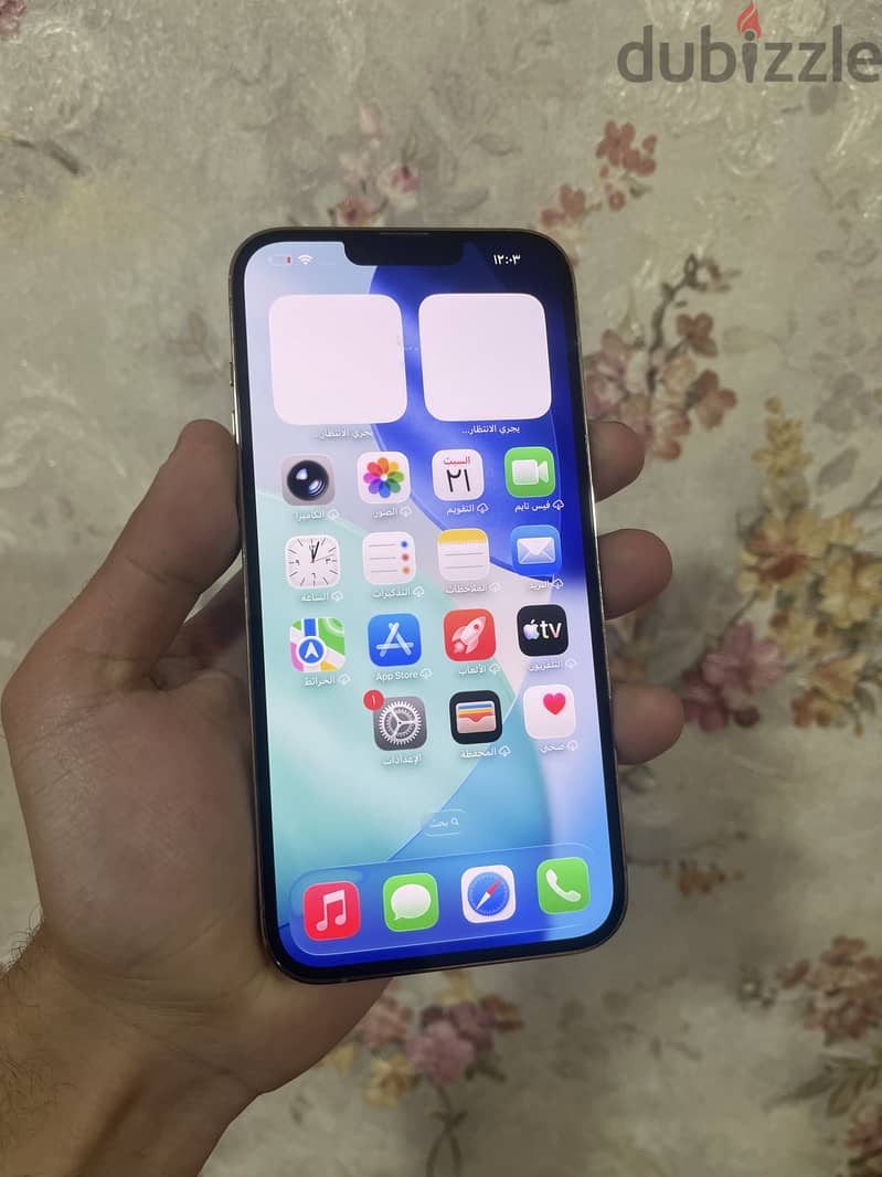 iPhone 13 Pro Max 1