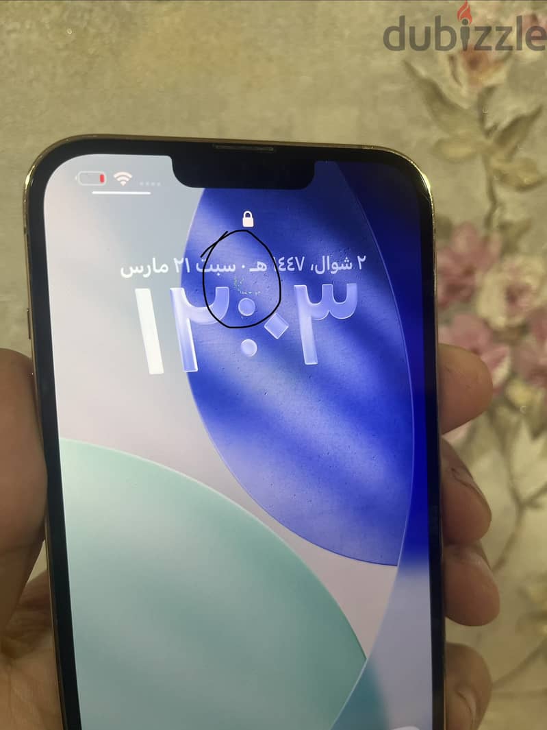 iPhone 13 Pro Max 4