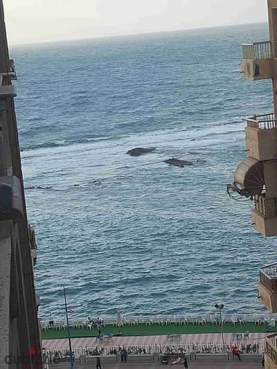 Apartment for sale two bedrooms and reception bathroom and kitchen second building from the sea Oran Street