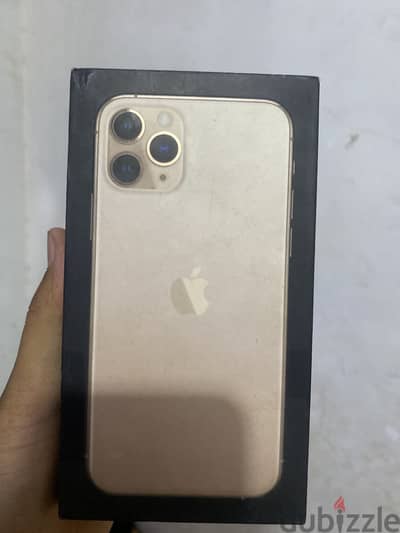 بنها القليوبيه