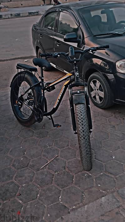 road dragon