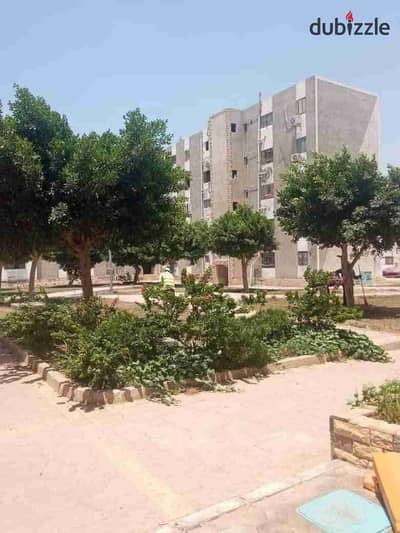 شقه مفروشه بالقرب من الجهاز و الجامعه الفرنسيه وسعودي ماركت