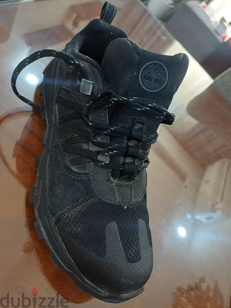 timberland 2