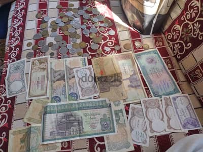 الشرقية الزقازيق