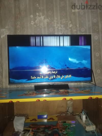 ٨ شارع المهدى روض الفرج  القاهرة