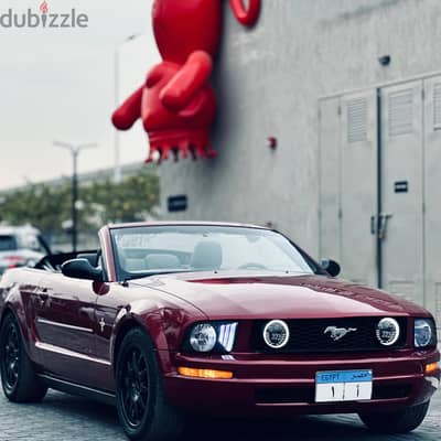 ارخص زفه في مصر احمد الشايب