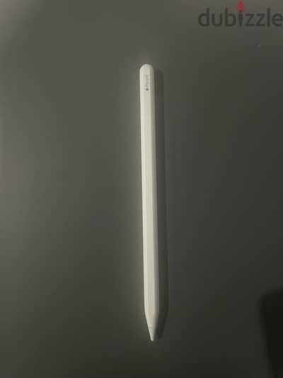 Apple pencil 2+ apple adapter 20W