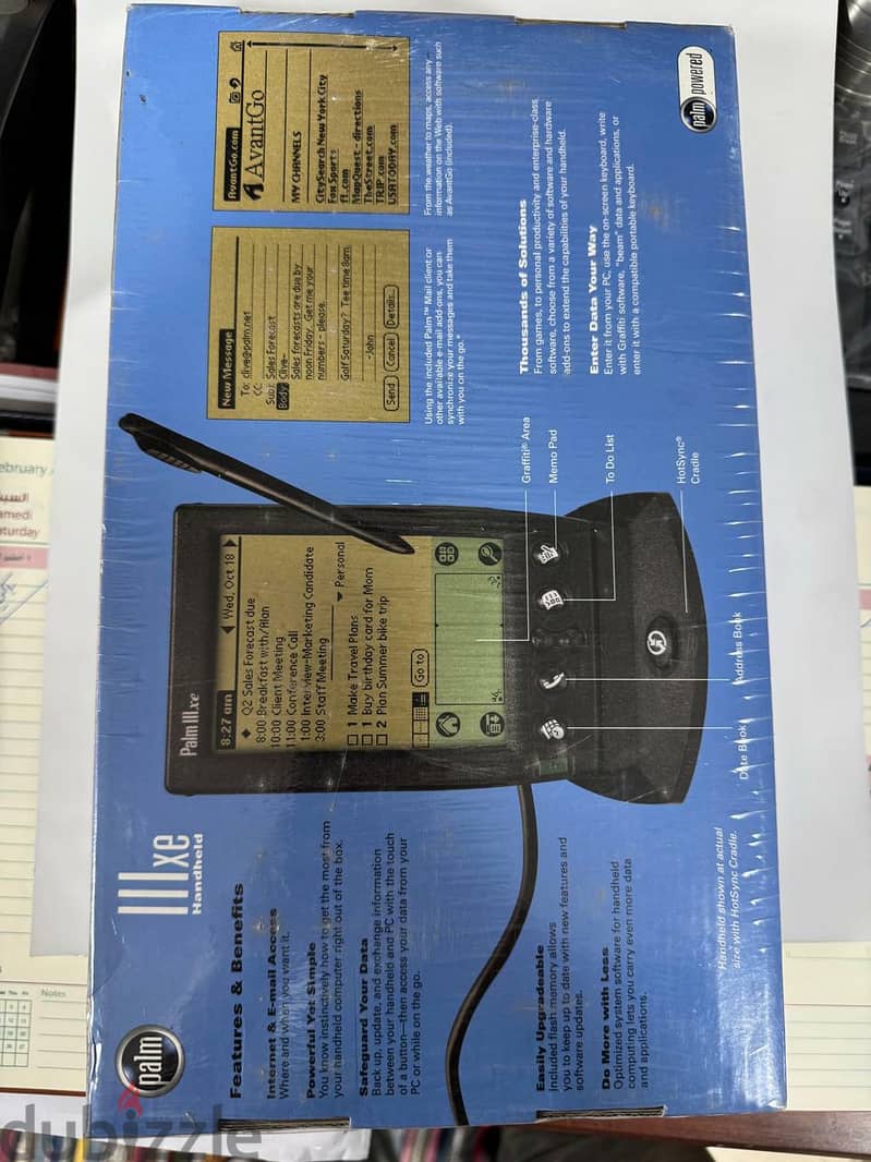 Palm business 2