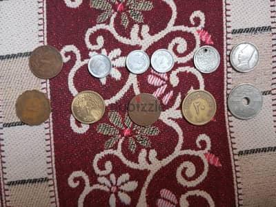 الشرقية
