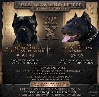 Presa canario برسيا كناريو
