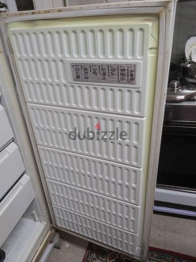 Electrostar Deepfreezer