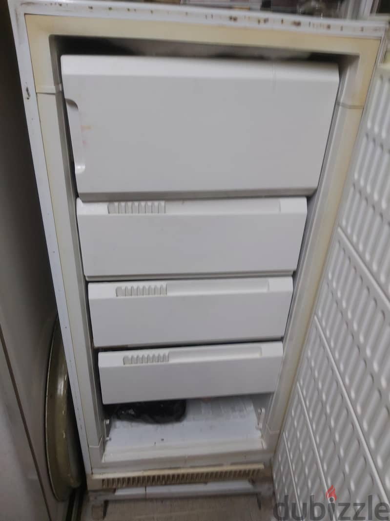 Electrostar Deepfreezer 2