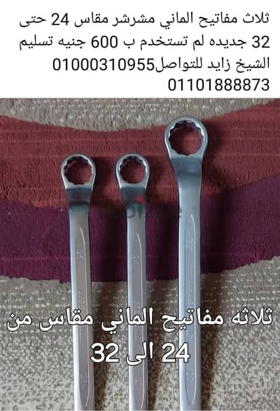 الشيخ زايد