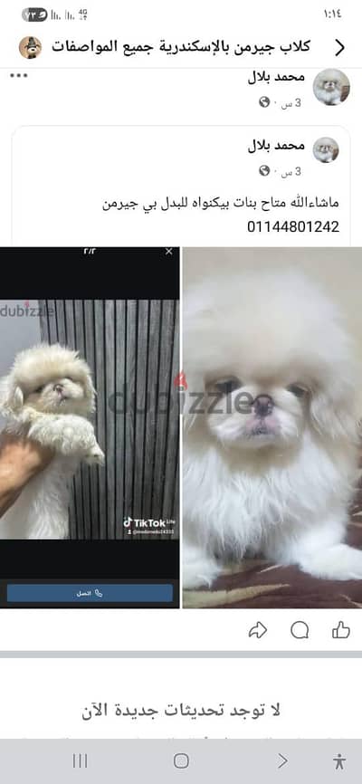 للبيع