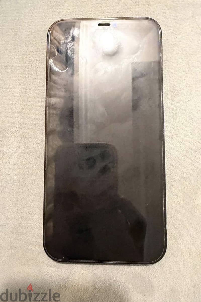 iPhone 12 Pro Max 3