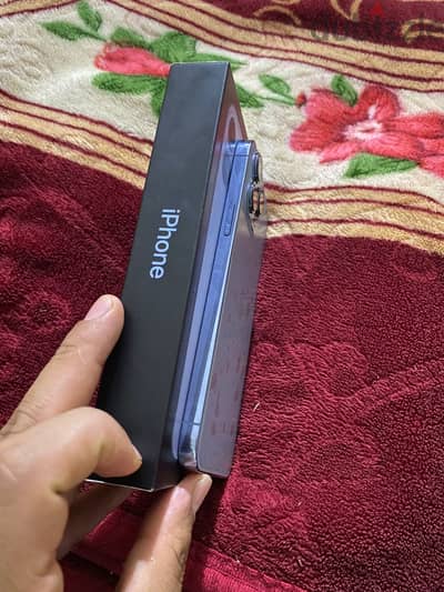 13 pro max