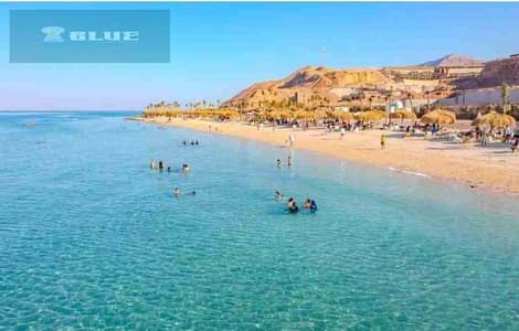 ايجار شالية علي البحر المونت جلالة  العين السخنة