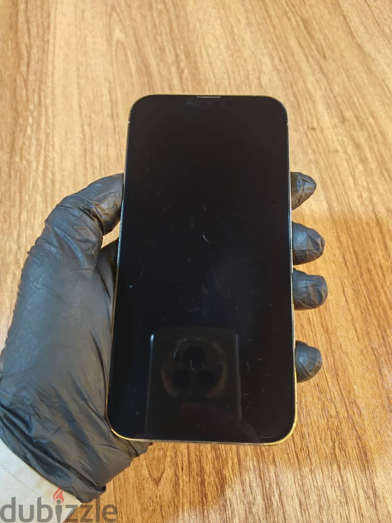 iPhone 13 Pro Max 1