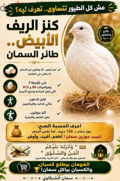 سمان بيتي بيور