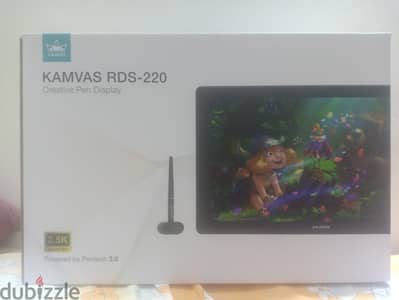 huion kamvas RDS-220 - 21.5 بوصة
