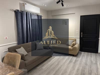 furnished apartment for rent in katameya gardens compound-new cairo