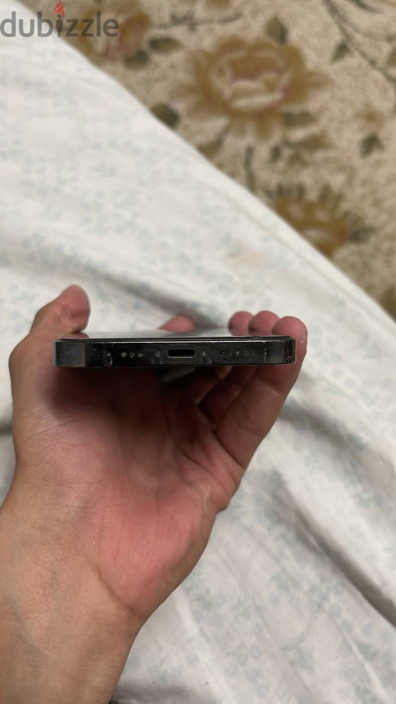 12 pro 3