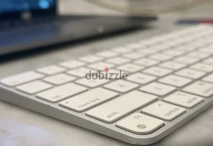 Apple magic keyboard (used/like new)