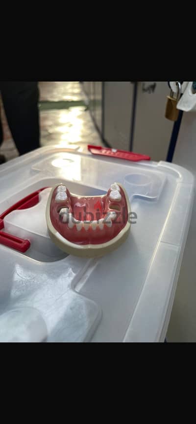 Nissin dental cast for sale كاست اسنان نيسين للبيع