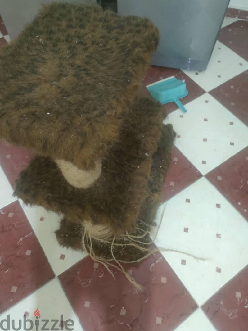 بيت قطط 1
