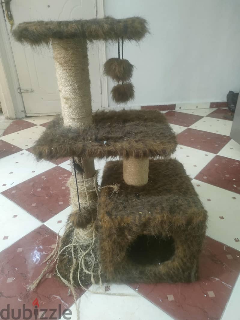 بيت قطط 2