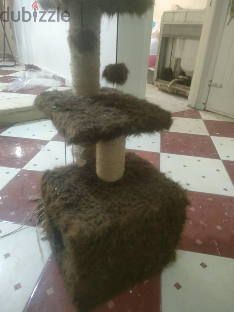 بيت قطط 3
