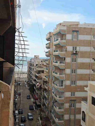 شقه للبيع بالإسكندرية العجمي شطي النخيل ٦اكتوبر الكيلو٢١ اسكندرية مطروح